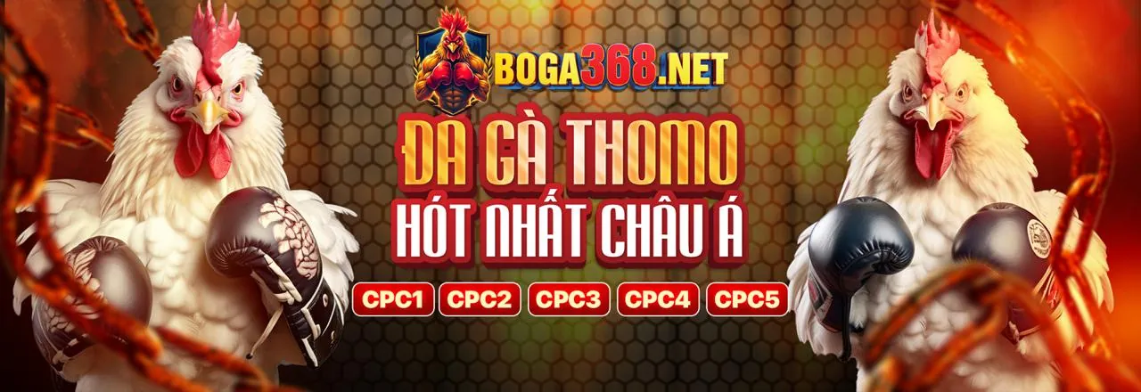 Cá cược Thể thao vin55 2026